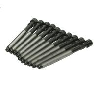 Set di bulloni per testata REINZ 14-32127-02 per AUDI A4 B6 (8E2) 4.2 2003-2004