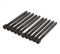 Set di bulloni per testata REINZ 14-32276-01 per AUDI TT (8J3) 2 2006-201