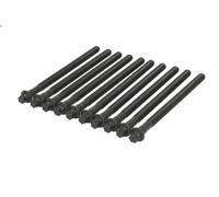 Set di bulloni per testata REINZ 14-32308-01 per BMW 5 (E60) 4 2005-2007