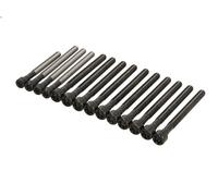 Set di bulloni per testata REINZ 14-32315-01 per BMW 5 (E60) 3 2004-2007