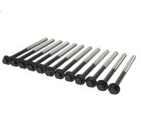 Set di bulloni per testata REINZ 14-32379-01 per VOLVO V50 (545) 2 2010-2012