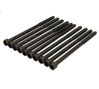Set di bulloni per testata REINZ 14-35738-01 per FIAT BRAVA (182_) 1.9 1996-2001