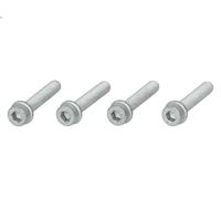 Set di bulloni, puleggia albero motore CONTITECH MS13 per INCA (6K9) 1.7 1996-