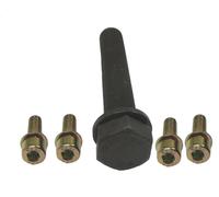 Set di bulloni, puleggia albero motore CORTECO 80001249 per A6 C4 2.5 1994-1997