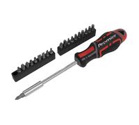 Set Di Cacciaviti E Bit 21pc GripMAX® AK4329