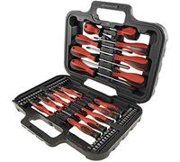 Set di cacciaviti professionali, 58 pezzi, con supporto magnetico in valigetta, cacciavite a croce e Torx di precisione