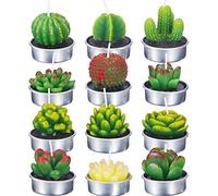 Set di Candele di Cactus 15 * 10 * 10 12 Pezzi Candele di Piante Grasse Delicate Candele Succulente per Regali di Decorazioni per la Casa di Nozze Spa (Blu)