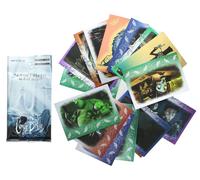 Set Di Carte Da Gioco Corpse Bride Giapponesi - 15 Pacchetti