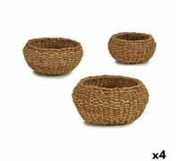 Set di Cesti Gift Decor Marrone Alghe marine [4 Unità]