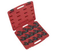 Set Di Chiavi A Coda Di Corvo Sealey 14 Pezzi 1/2" Sq Drive Metric AK59831