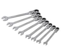BlueSpot Strumenti Flessibile Testa Set Cricchetto, 8 Pezzi B/S04300