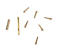 Set di Chitarra Set Brass Bridge PEG Nut Nut Kit Guitars Acoustic Applicable Scene