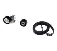 Set di cinghie a V GATES K017PK1973