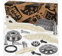 Set Di Cinghie Con Ingranaggio Per CITROEN MINI PEUGEOT 1.6i 5FD 5FR N14 B16 A