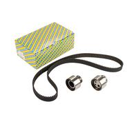 Set di cinghie dentate con 2 pulegge tendicinghia NTN-SNR