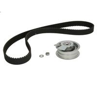 Set di cinghie dentate INA 530 0171 10 per AUDI A3 (8L1) 1.6 1996-2003