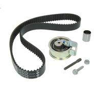 Set di cinghie dentate INA 530 0176 1 per VW POLO (6N2) 1.4 1999-2001