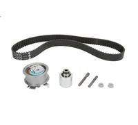 Set di cinghie dentate INA 530 0201 10 per AUDI A3 (8P1) 2 2006-2008