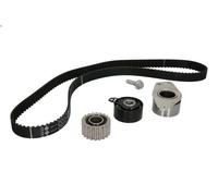 Set di cinghie dentate INA 530 0357 10 per ARO CARPAT Pick Up 1.9 2003-2006