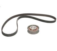 Set di cinghie dentate INA 530 0392 10 per AUDI A6 C4 (4A2) 2 1994-1997