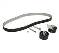 Set di cinghie dentate INA 530 0489 10 CITROEN C6 (TD_) 2.2 2006-201