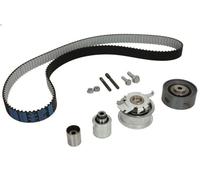 Set di cinghie dentate INA 530 0503 10 per AUDI A3 (8P1) 2 2004-2012