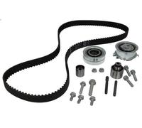 Set di cinghie dentate INA 530 0550 10 per AUDI A3 (8P1) 2 2003-2012