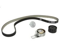 Set di cinghie dentate INA 530 0698 1 per CITROEN DS5 1.6 2013-2015