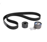 Set di cinghie dentate SKF VKMA 06220