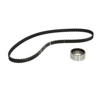 Set di cinghie di distribuzione INA 530 0009 10