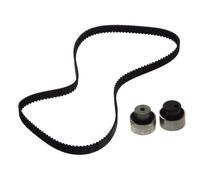 Ina 530011810 Kit Tendicinghia