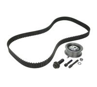 Set di cinghie di distribuzione INA 530 0343 10
