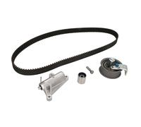 Set di cinghie di distribuzione INA 530 0359 10