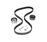 Set di cinghie di distribuzione INA 530 0491 10