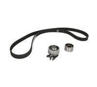 INA 530 0625 10 Kit cinghia di distribuzione