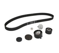 Kit Distribuzione INA - 530064010