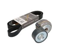 Set di cinghie Poly-V DAYCO KPV024HD