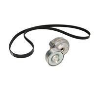 Set di cinghie Poly-V DAYCO KPV153HD