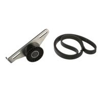 Set di cinghie Poly-V GATES K015PK1113