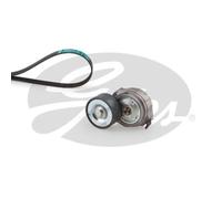 Set di cinghie Poly-V GATES K018PK1920HD