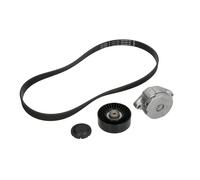 INA 529 0102 10 Kit Cinghie Poly-V