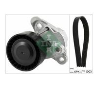 Set di cinghie Poly-V INA 529 0208 10