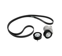 Set di cinghie Poly-V INA 529 0219 10