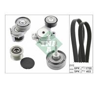Set di cinghie Poly-V INA 529 0519 20