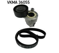 Set di cinghie Poly-V SKF VKMA 36055