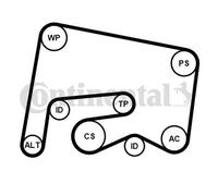 Set Di Cinghie V-Groove Continental CTAM 6PK2155K1 Per MERCEDES-BENZ