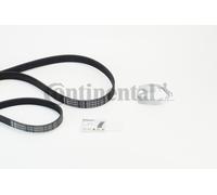 Set Di Cinghie V-Ribbed CONTINENTAL CTAM 6PK1059 ELAST T2 Per FORD, VOLVO