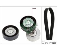 Set Di Cinghie V-Ribbed INA 529 0320 10 Per VOLVO