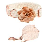 Set di Collare E Guinzaglio per Cani in Pizzo Floreale, Collari per Cani da Ragazza Ricamati Regolabili con Fibbia in Metallo, Elegante Abito da Sposa E Compleanno per Cani Femmine(Beige,S)