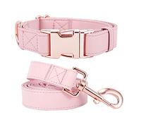Set di collare e guinzaglio per cani. Pelle vegana morbida e facile da pulire con fibbia in metallo oro rosa per cani di piccola taglia media e grande (rosa, S 31-42,9 cm)